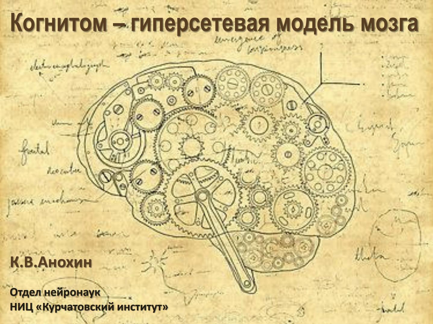 Когнитом: гиперсетевая модель мозга
